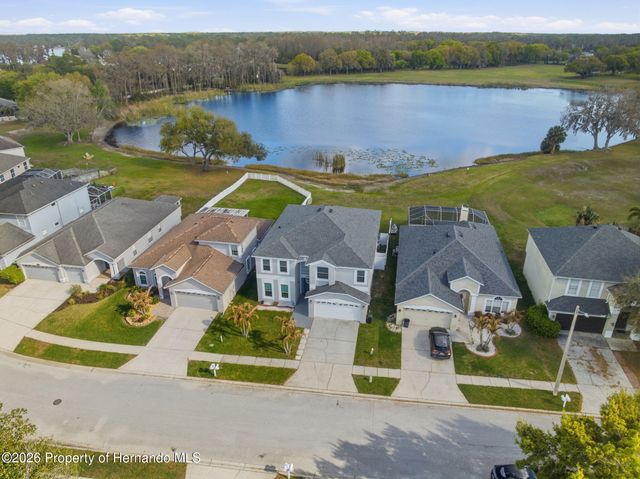 1312 Brooke View Drive, Odessa, FL 33556