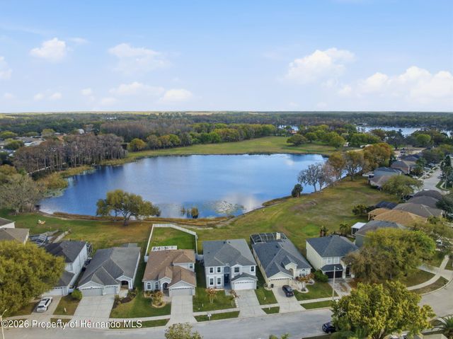 1312 Brooke View Drive, Odessa, FL 33556