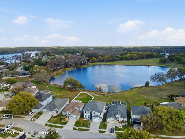 1312 Brooke View Drive, Odessa, FL 33556