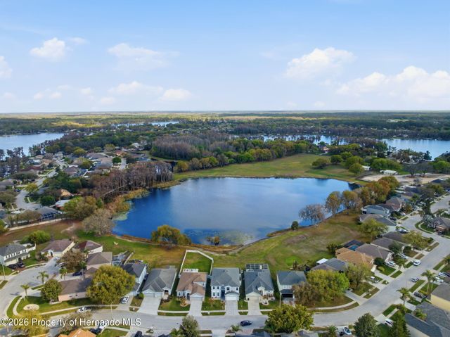 1312 Brooke View Drive, Odessa, FL 33556