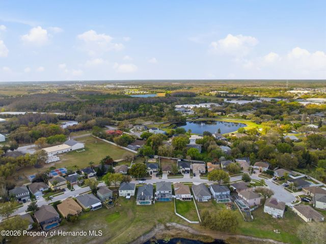 1312 Brooke View Drive, Odessa, FL 33556