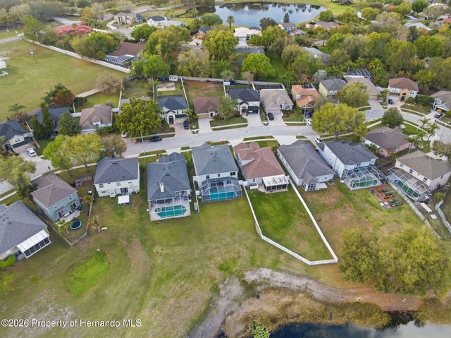 1312 Brooke View Drive, Odessa, FL 33556