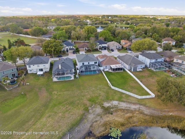 1312 Brooke View Drive, Odessa, FL 33556