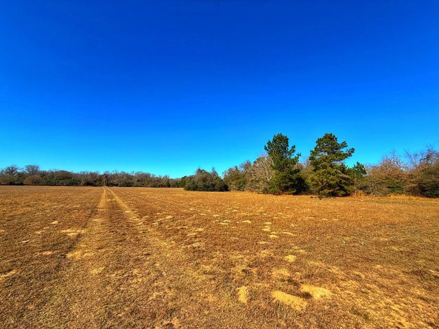 8311 Pr 1214, Centerville, TX 75833