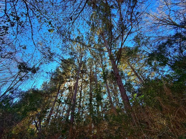 8311 Pr 1214, Centerville, TX 75833