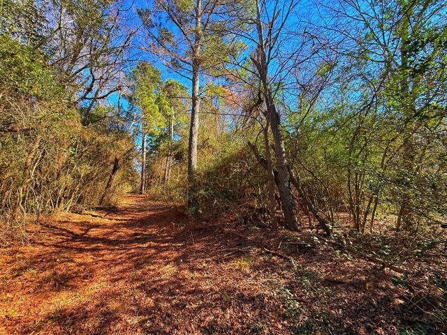 8311 Pr 1214, Centerville, TX 75833