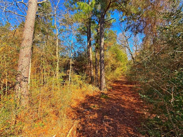 8311 Pr 1214, Centerville, TX 75833