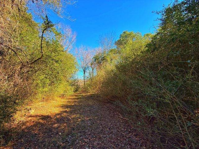 8311 Pr 1214, Centerville, TX 75833