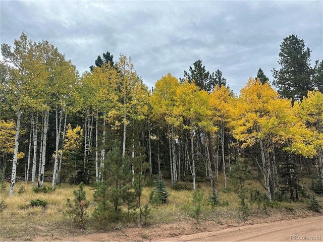 109 Garnet Way, Florissant, CO 80816