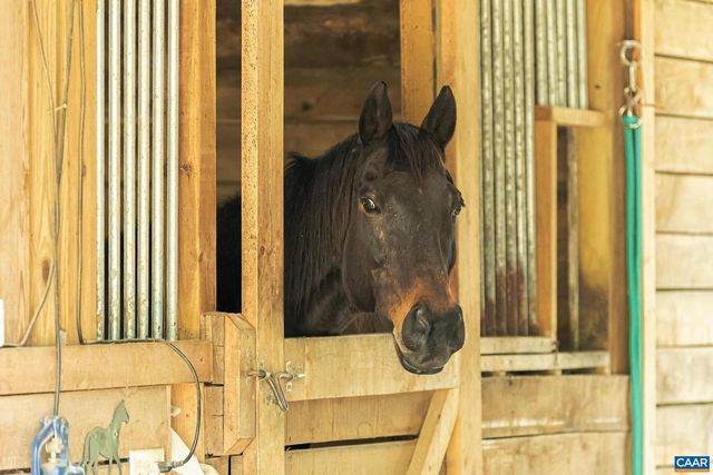 12500 SHANNON HILL RD, Louisa, VA 23093
