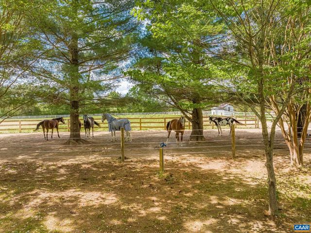 12500 SHANNON HILL RD, Louisa, VA 23093