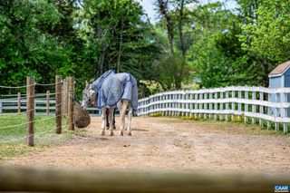 12500 SHANNON HILL RD, Louisa, VA 23093