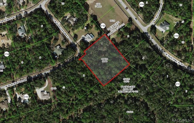 3715 N Boxelder Way, Beverly Hills, FL 34465
