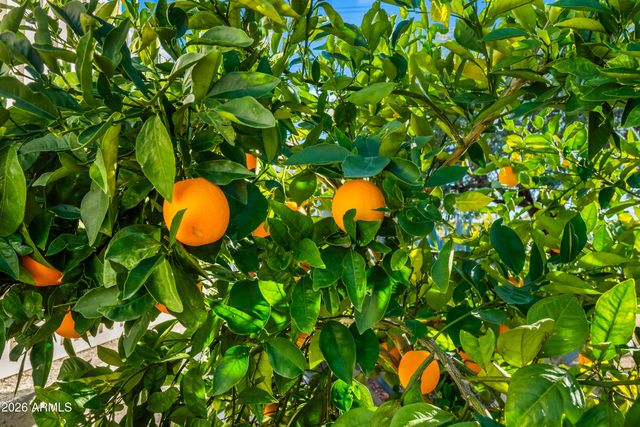 2695 W PINTO Place, Wickenburg, AZ 85390