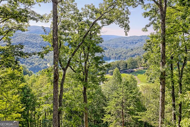 215 Grey Fox Trail, Clayton, GA 30525