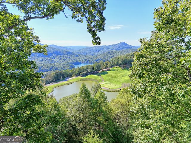 215 Grey Fox Trail, Clayton, GA 30525