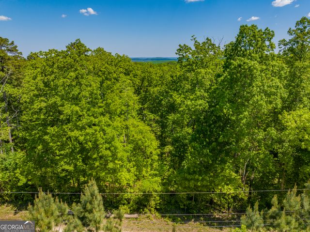 16 ACRES Gun Club Road, Buchanan, GA 30113
