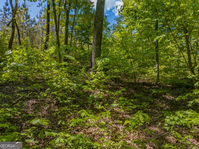 16 ACRES Gun Club Road, Buchanan, GA 30113