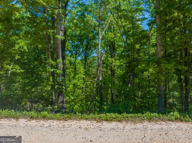 16 ACRES Gun Club Road, Buchanan, GA 30113