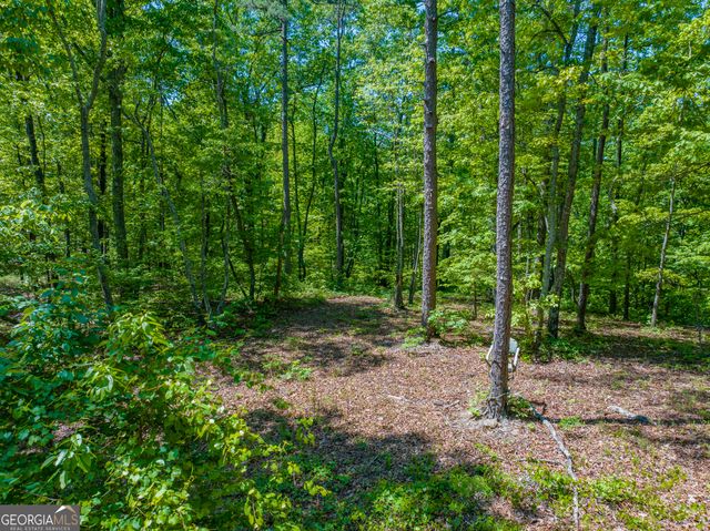 16 ACRES Gun Club Road, Buchanan, GA 30113