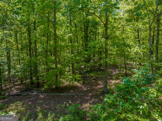 16 ACRES Gun Club Road, Buchanan, GA 30113