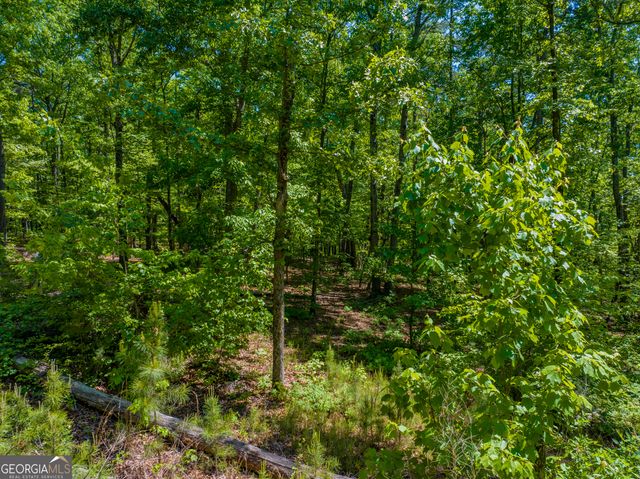 16 ACRES Gun Club Road, Buchanan, GA 30113