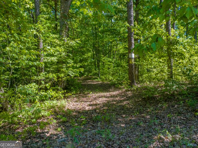 16 ACRES Gun Club Road, Buchanan, GA 30113