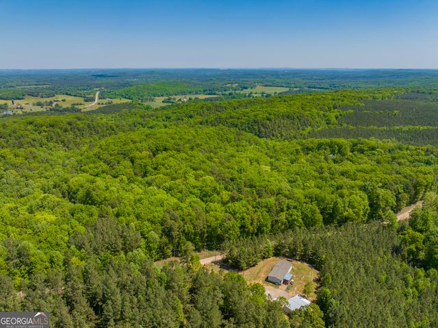 16 ACRES Gun Club Road, Buchanan, GA 30113