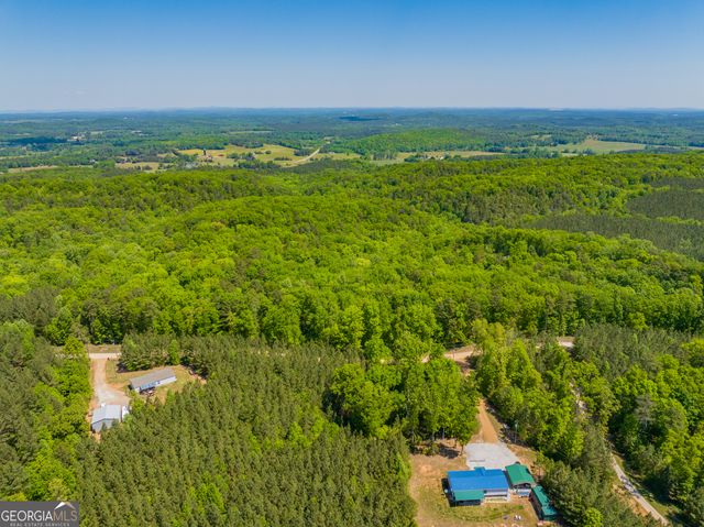 16 ACRES Gun Club Road, Buchanan, GA 30113