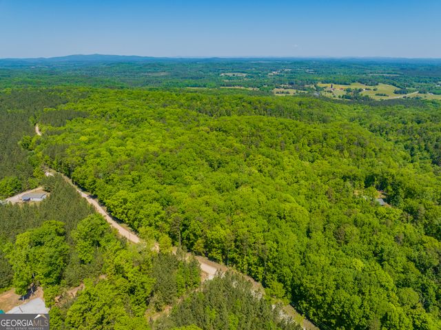 16 ACRES Gun Club Road, Buchanan, GA 30113