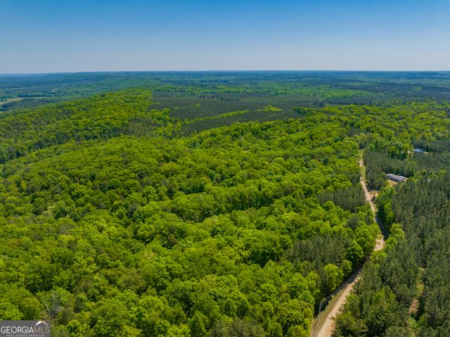 16 ACRES Gun Club Road, Buchanan, GA 30113