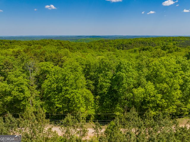 16 ACRES Gun Club Road, Buchanan, GA 30113