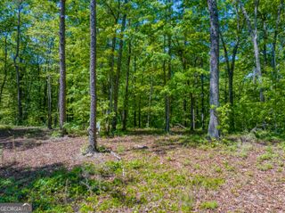 16 ACRES Gun Club Road, Buchanan, GA 30113