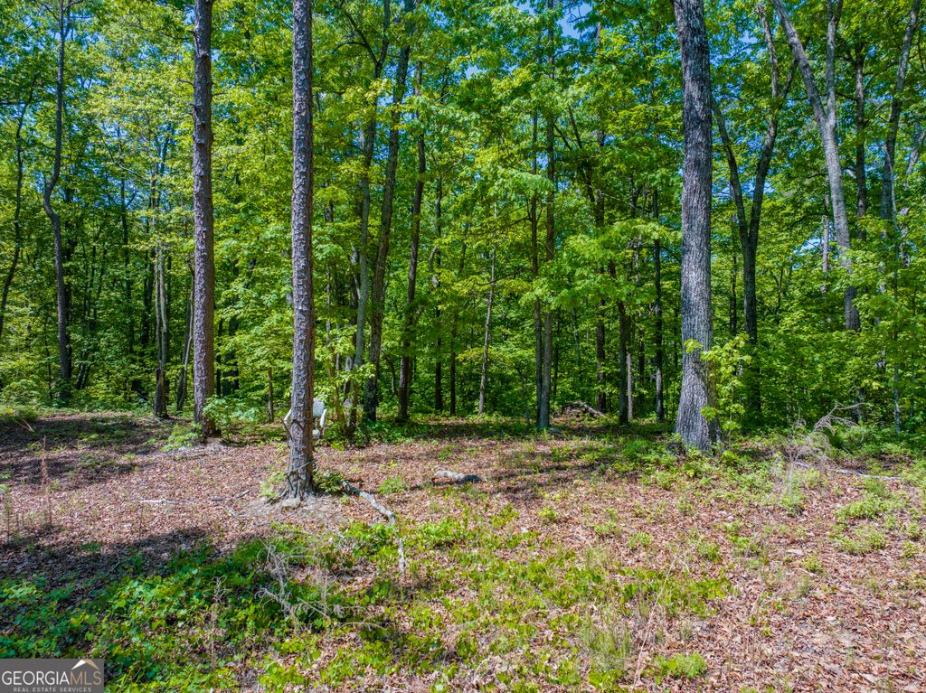 16 ACRES Gun Club Road, Buchanan, GA 30113