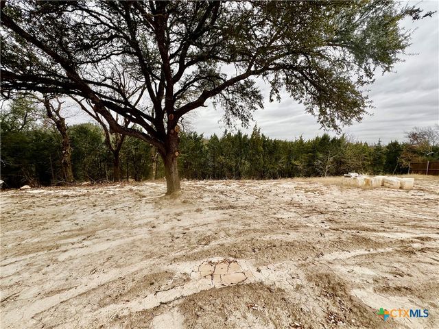 2336 Dunns Hollow Drive, Belton, TX 76513