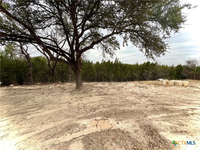 2336 Dunns Hollow Drive, Belton, TX 76513