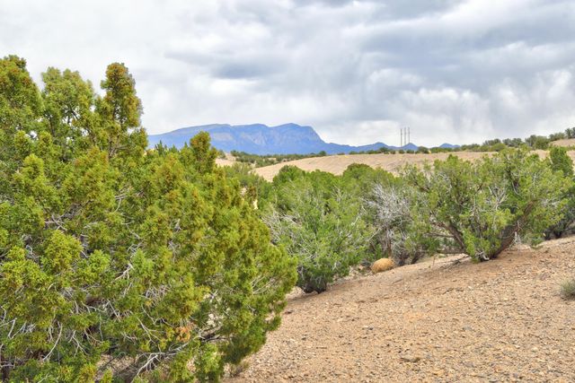 7 Cory Court, Placitas, NM 87043