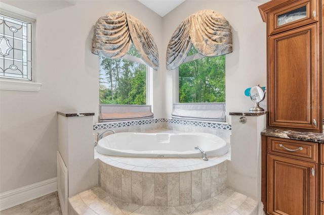 18901 LAKES EDGE WAY, Odessa, FL 33556