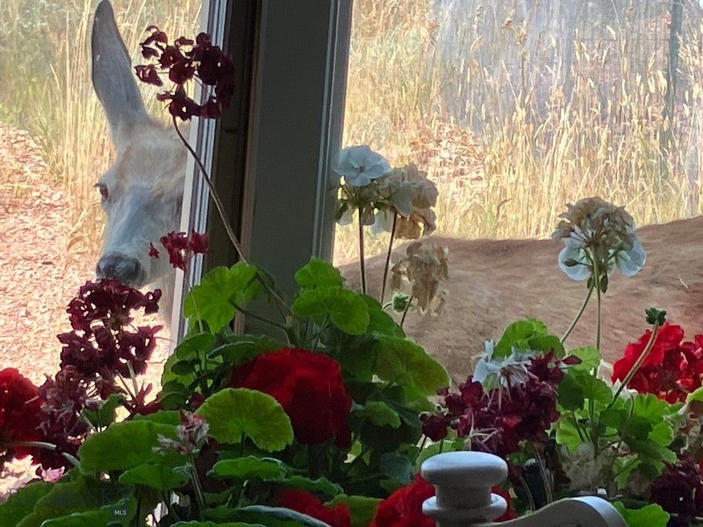 5835 Spaulding Bridge Road, Belgrade, MT 59714 photo 96