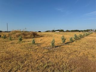 115 County Road 4524 Street, Whitewright, TX 75491