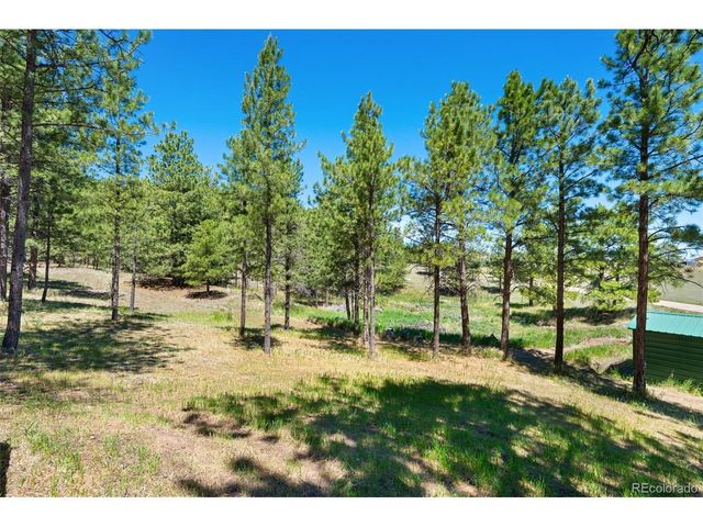 5463 High Park Rd, Florissant, CO 80816