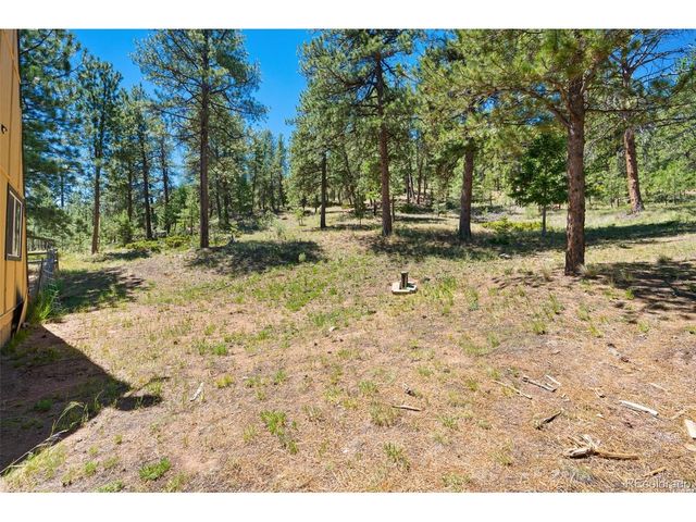 5463 High Park Rd, Florissant, CO 80816