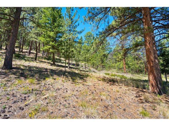 5463 High Park Rd, Florissant, CO 80816