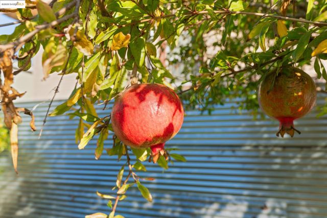 3412 Magnolia St, Oakland, CA 94608