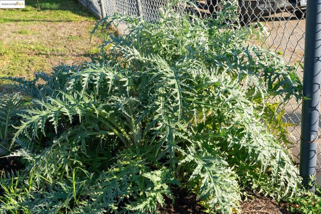 3412 Magnolia St, Oakland, CA 94608