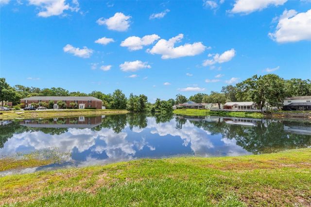 13762 ORANGE SUNSET DRIVE 102, Tampa, FL 33618