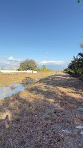 803 E Colyer St, Lehigh Acres, FL 33974