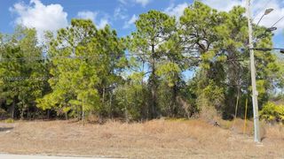 803 E Colyer St, Lehigh Acres, FL 33974