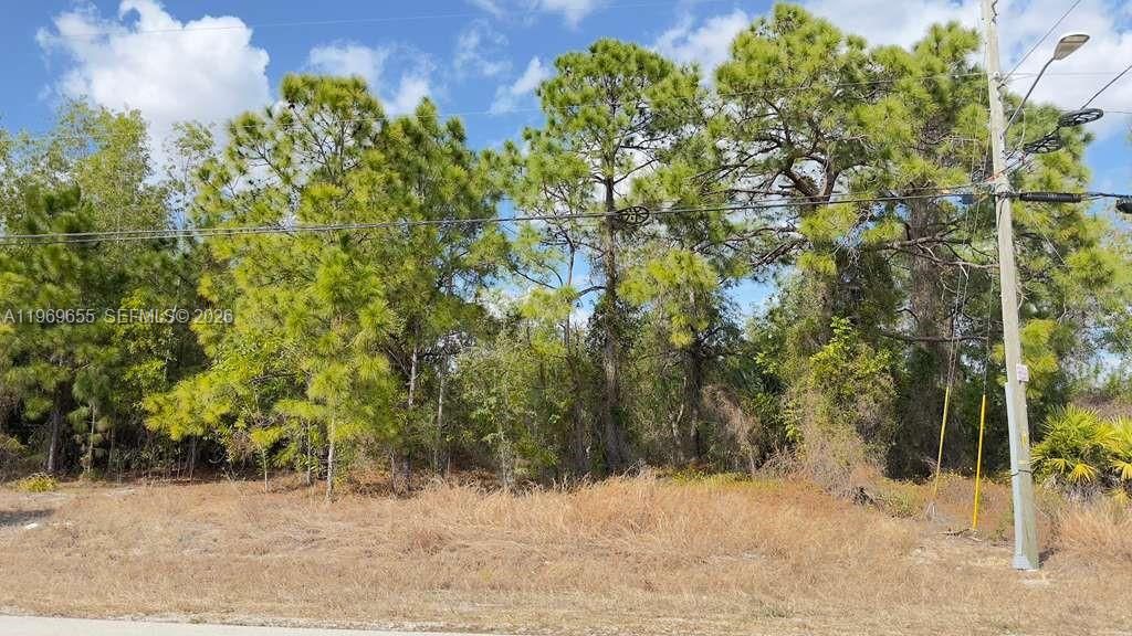 803 E Colyer St, Lehigh Acres, FL 33974