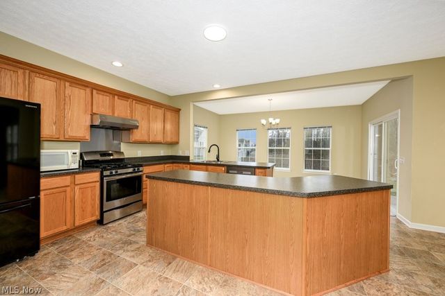 3784 Firethorn Drive, Aurora, OH 44202